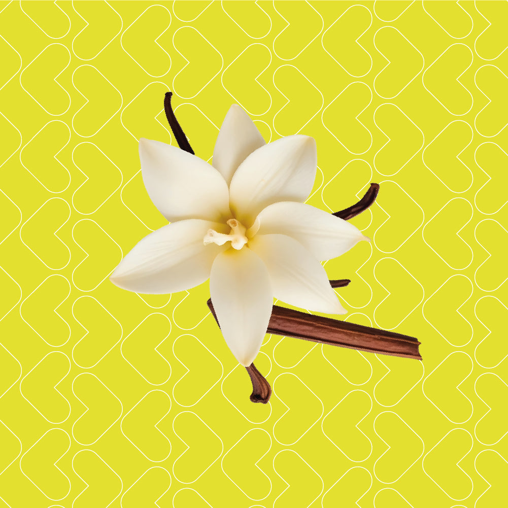 Vanilla - 0 Calories