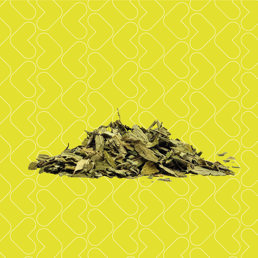 Longjing tea - 0 Calories